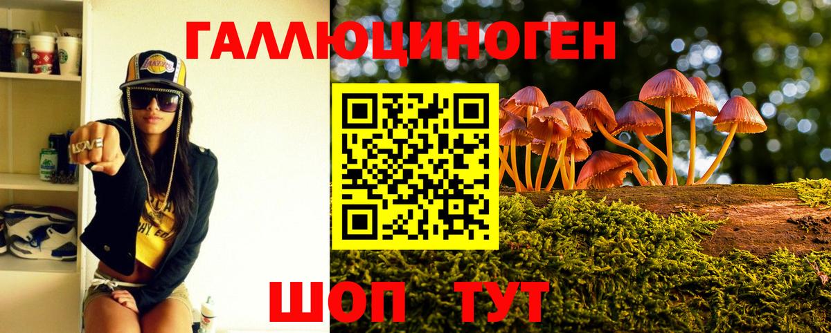 где купить наркотик  Галлюциногенные грибы Magic Shrooms  Вход с VPN  Мелеуз 
