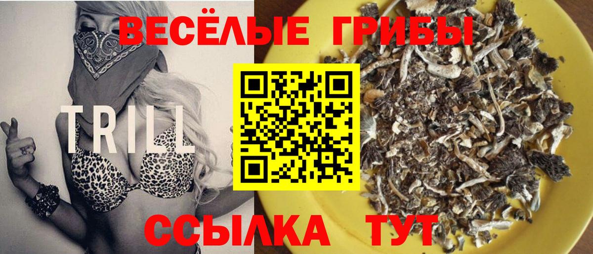 Псилоцибиновые грибы прущие грибы Мелеуз
